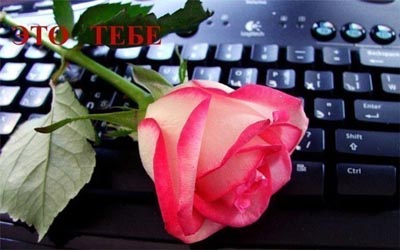 компьютер и роза